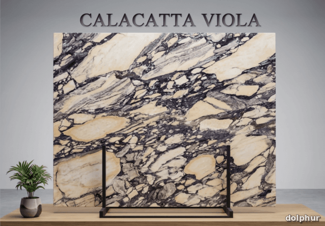 Imported Exotic Marble